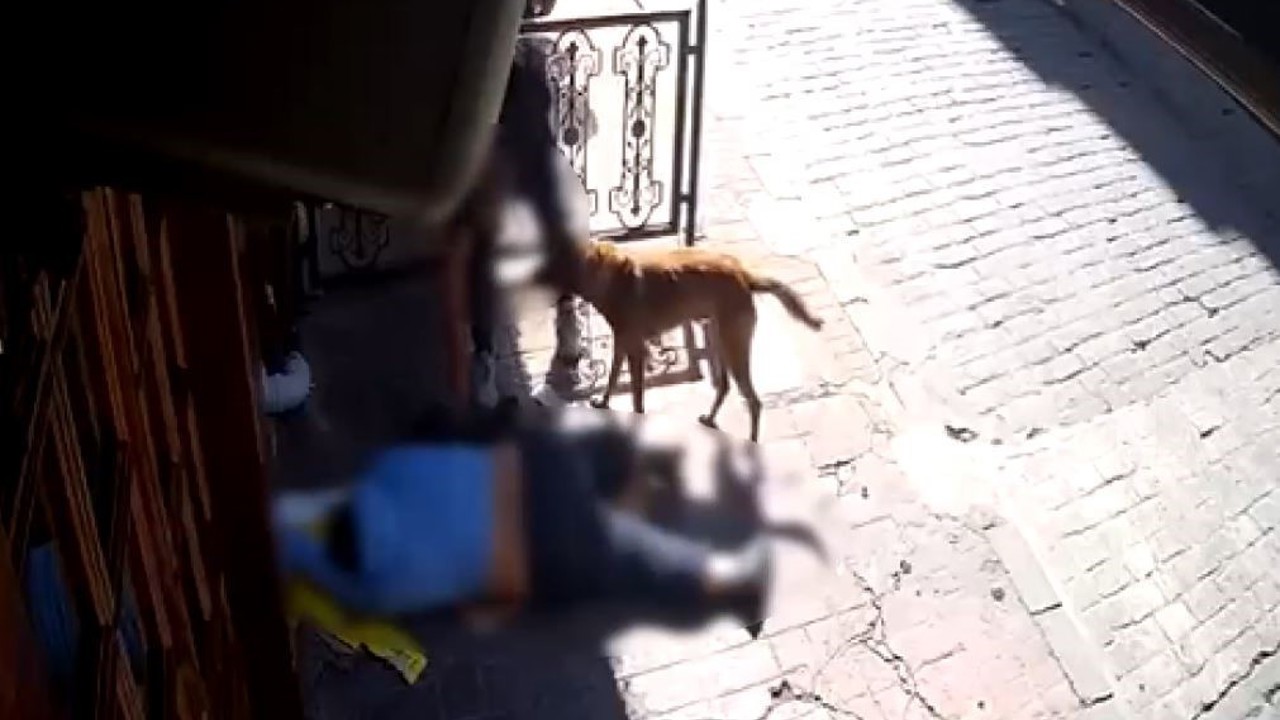 Beyoğlu’nda "pes" dedirten olay: Sara nöbeti sonrası bayılan adamın telefonunu çaldılar
