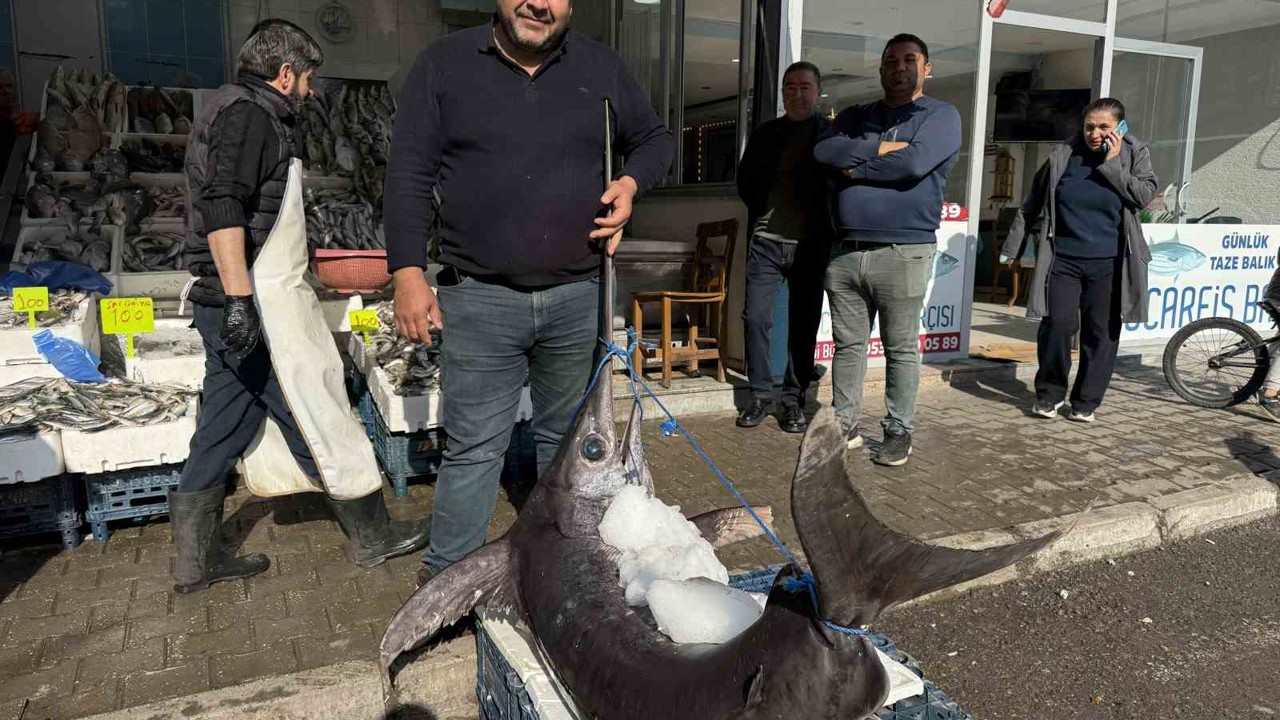 138 kiloluk kılıç balığı ilgi odağı oldu
