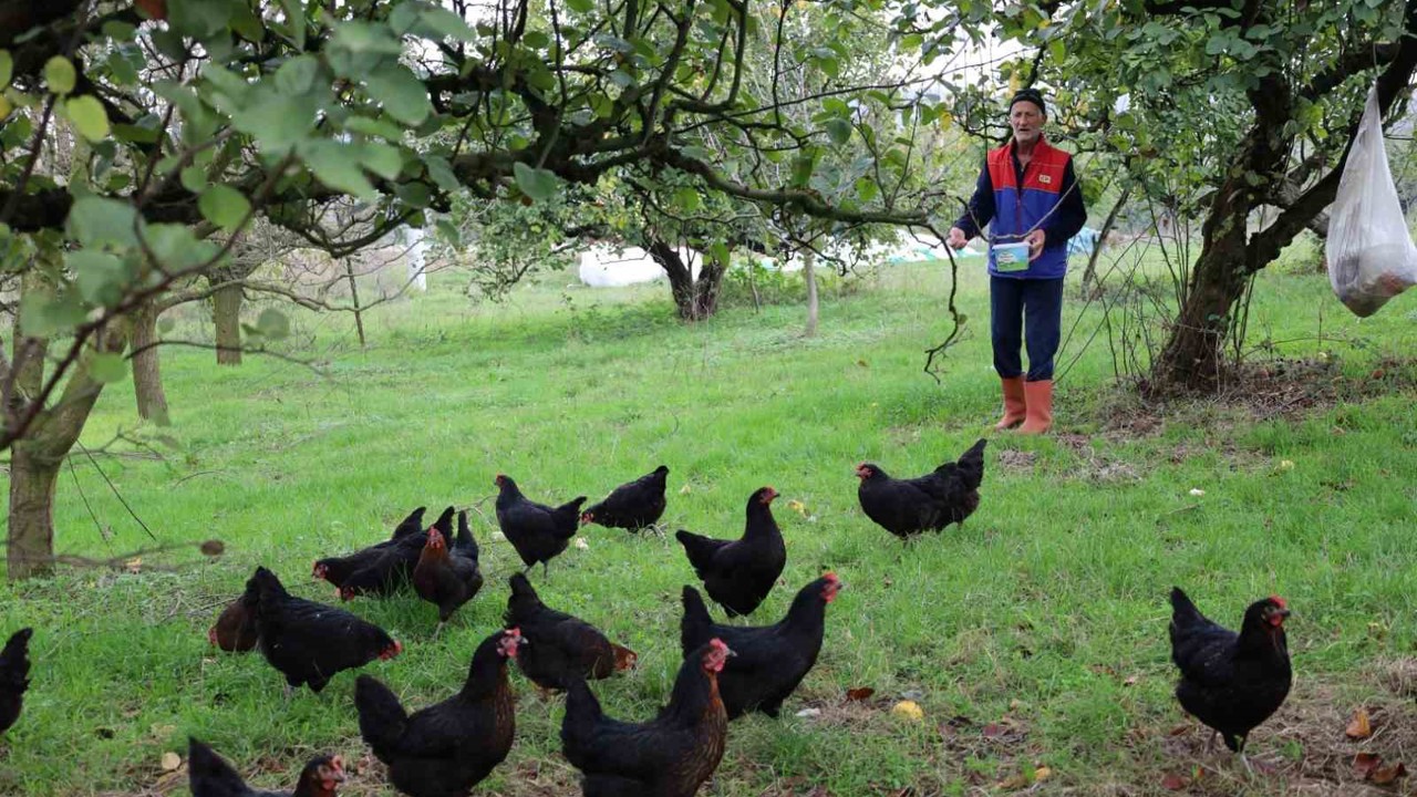 Kocaeli’de kırsal kalkınmaya "kanatlı" destek

