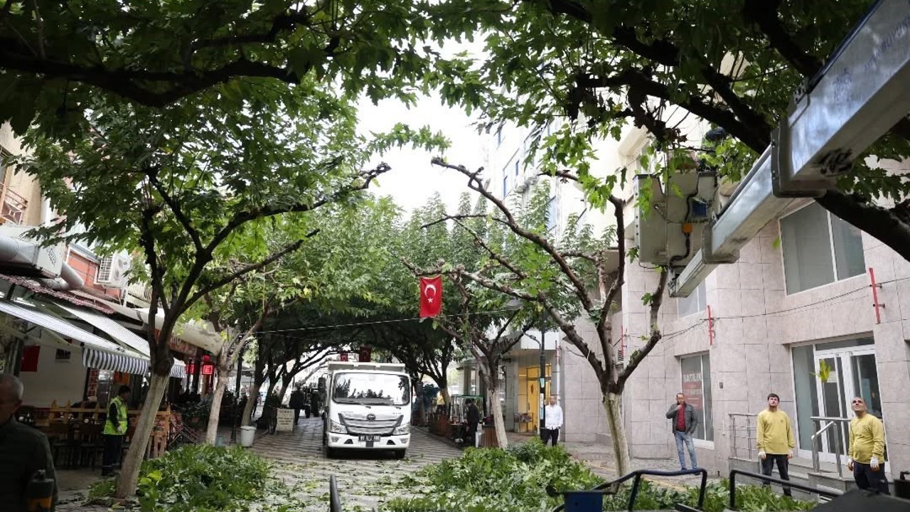 İncirliova Sevgi Yolu’ndaki ağaçlara bakım

