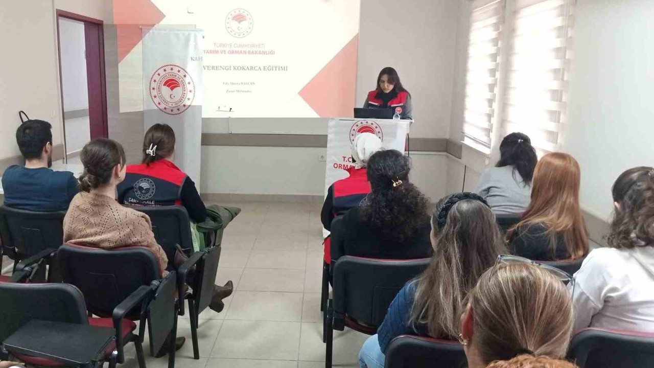 Gelibolu’da kahverengi kokarca ile mücadele eğitimleri devam ediyor
