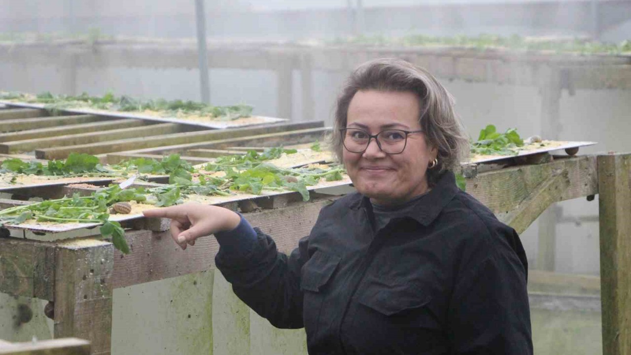 Trabzon’dan dünyaya ’Googlis’
