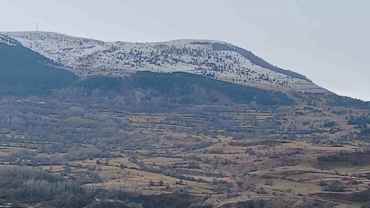 Posof kar yağışı sonrası beyaza büründü
