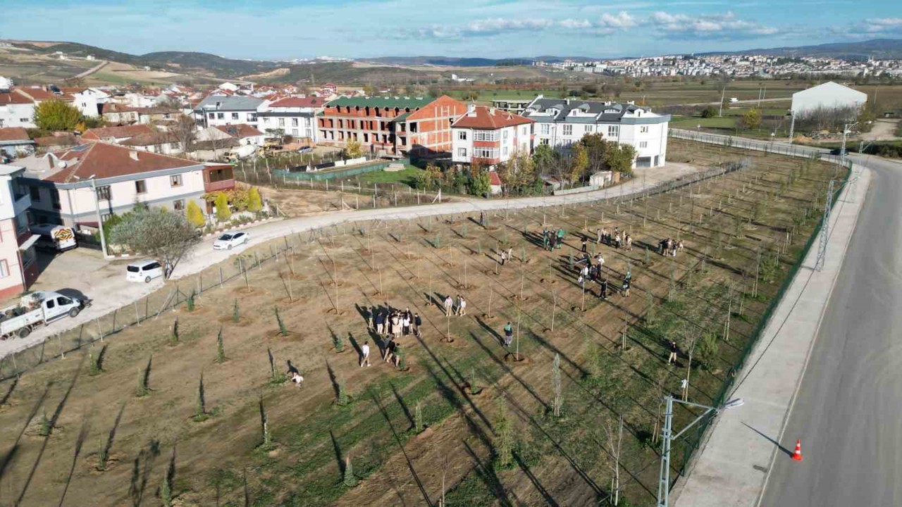 572 fidanlı koruluk Akhisan’a nefes olacak
