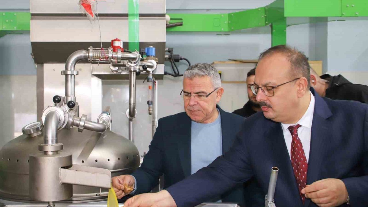 Vali Canbolat, Köşk’te zeytinyağı sıkım işletmelerinde incelemelerde bulundu
