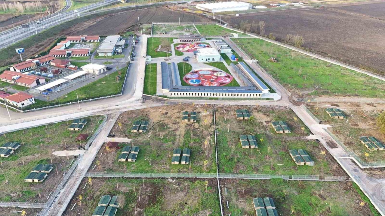 Avrupa standartlarında tesis: Sakarya Büyükşehir, sokak hayvanları için yeni bir dünya kurdu
