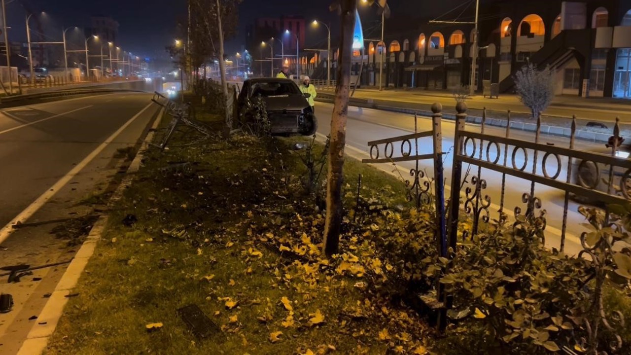 Köpeğe çarpmamak için manevra yapan sürücü refüje çıktı
