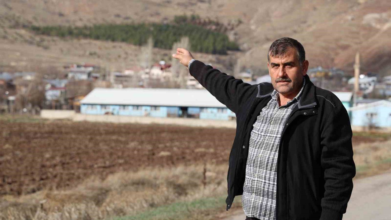 Yıllar önce gölgelenecek ağaç yoktu, şimdi ise ormanlık alana dönüştü
