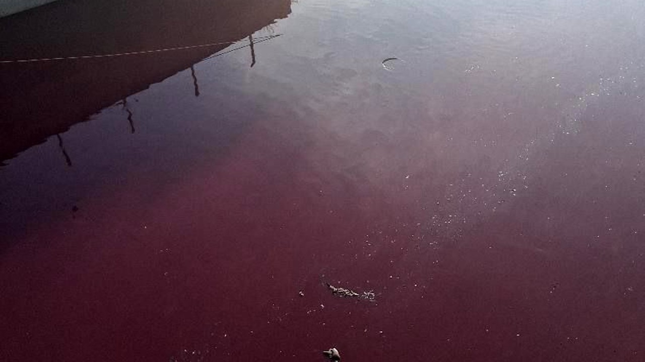 Esenyurt’ta derenin rengi kırmızıya döndü
