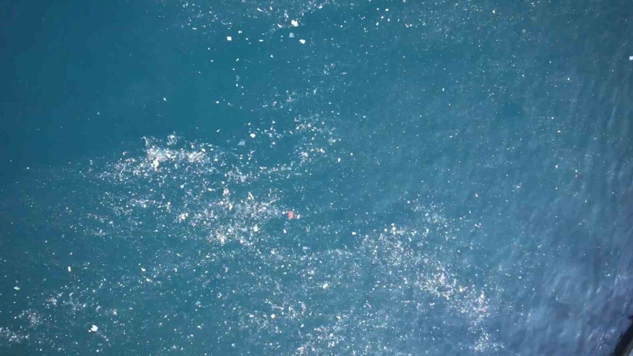 Balat sahilinde olta atan balıkçılar deniz yüzeyinde oluşan kirlilikten şikayetçi
