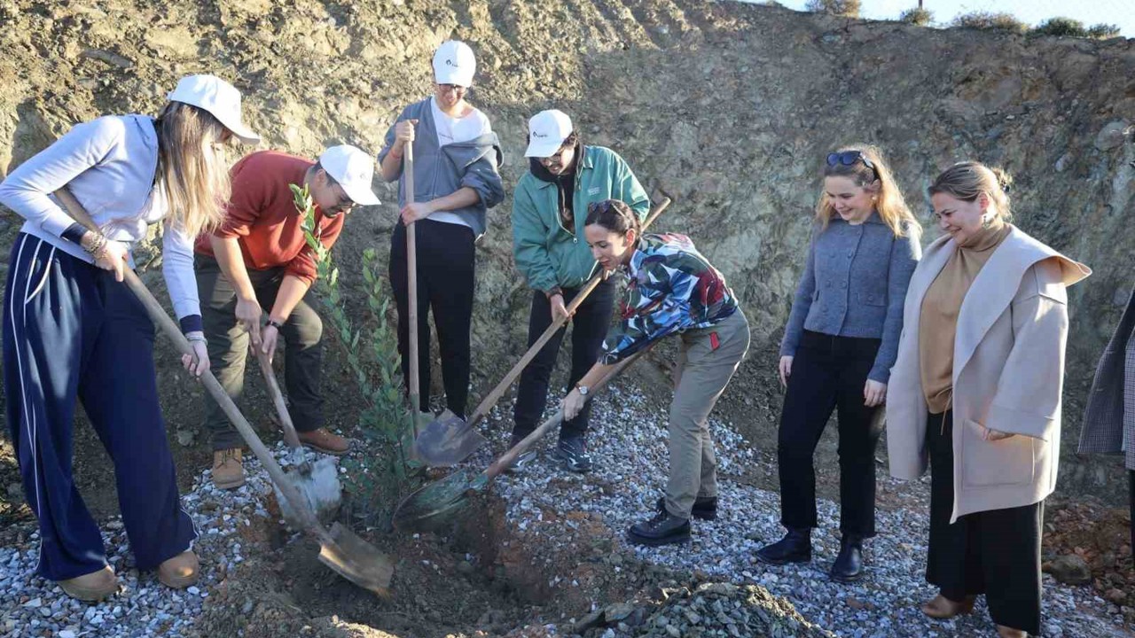 Defne fidanları toprakla buluştu
