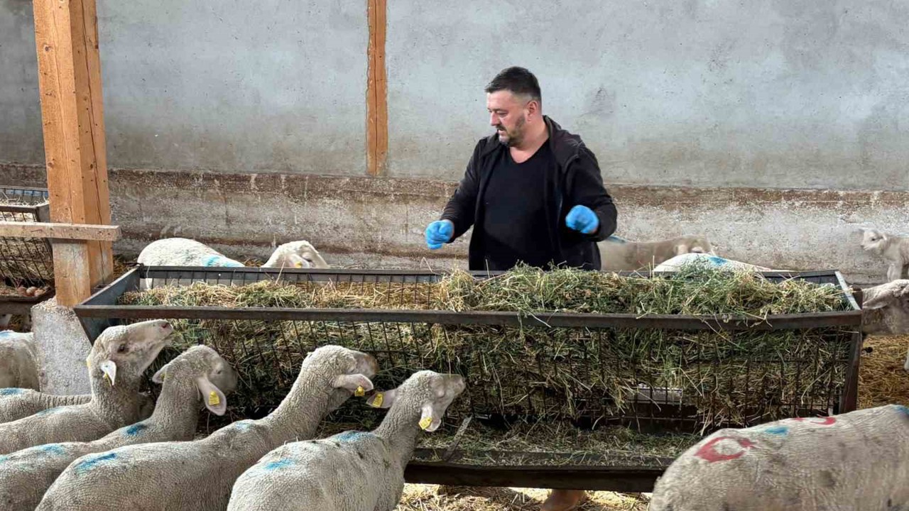 Şap mağduru üreticiler destek bekliyor
