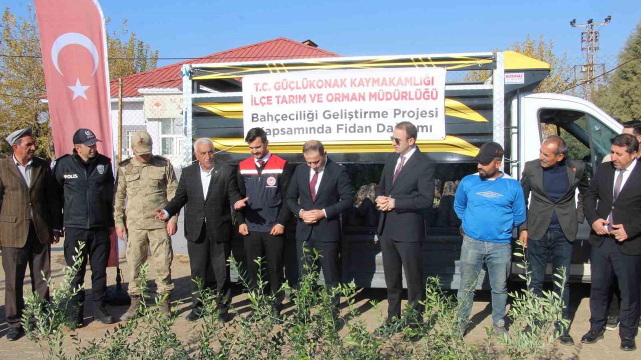 Çiftçilere 4 bin zeytin fidanı dağıtıldı
