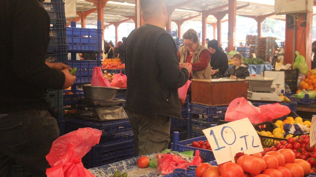 Çanakkale’nin meşhur domatesi tezgahlarda 40 liradan 10 liraya kadar düştü
