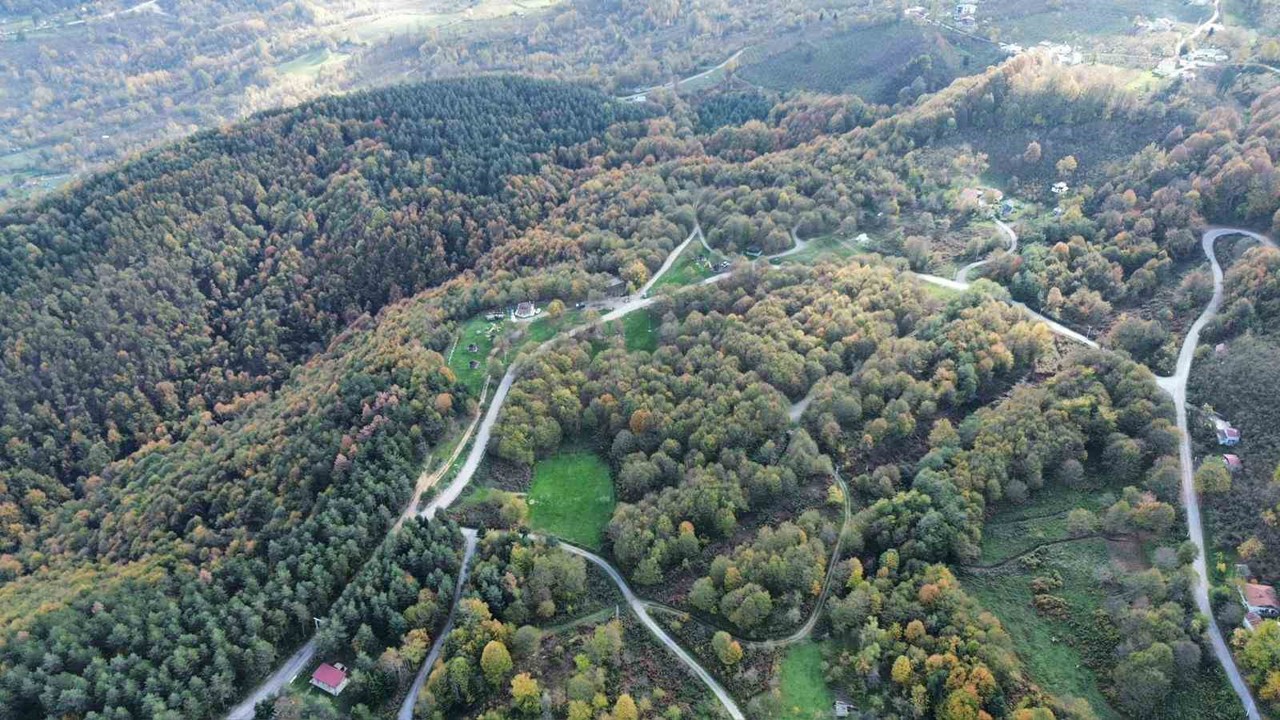 Düzce ormanlarında "renk cümbüşü" yaşanıyor
