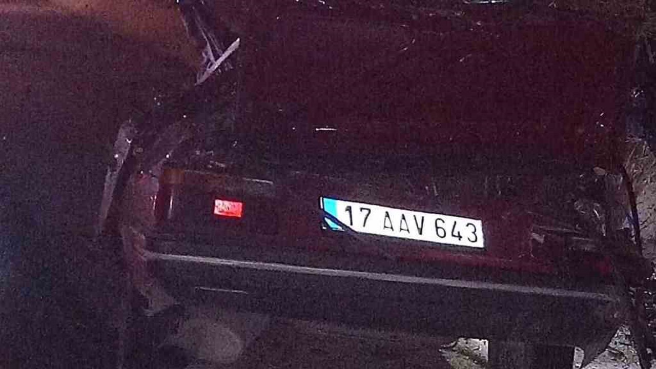 Direksiyon hakimiyetini kaybedip ağaca çarpan sürücü hayatını kaybetti
