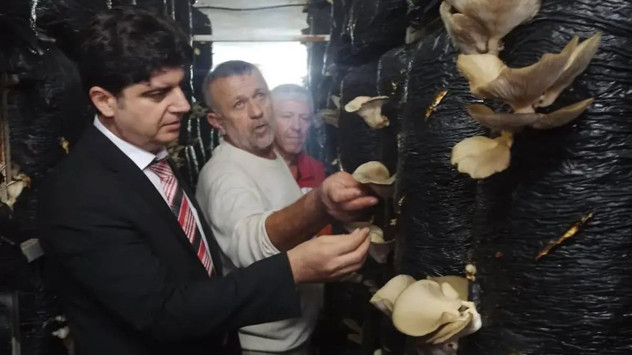 Sinop’ta mantar yetiştiriciliği eğitimi
