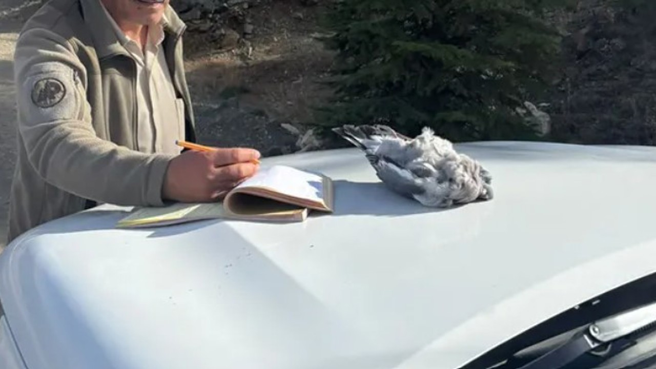 Burdur’da kaçak avcılar ekiplere yakalandı
