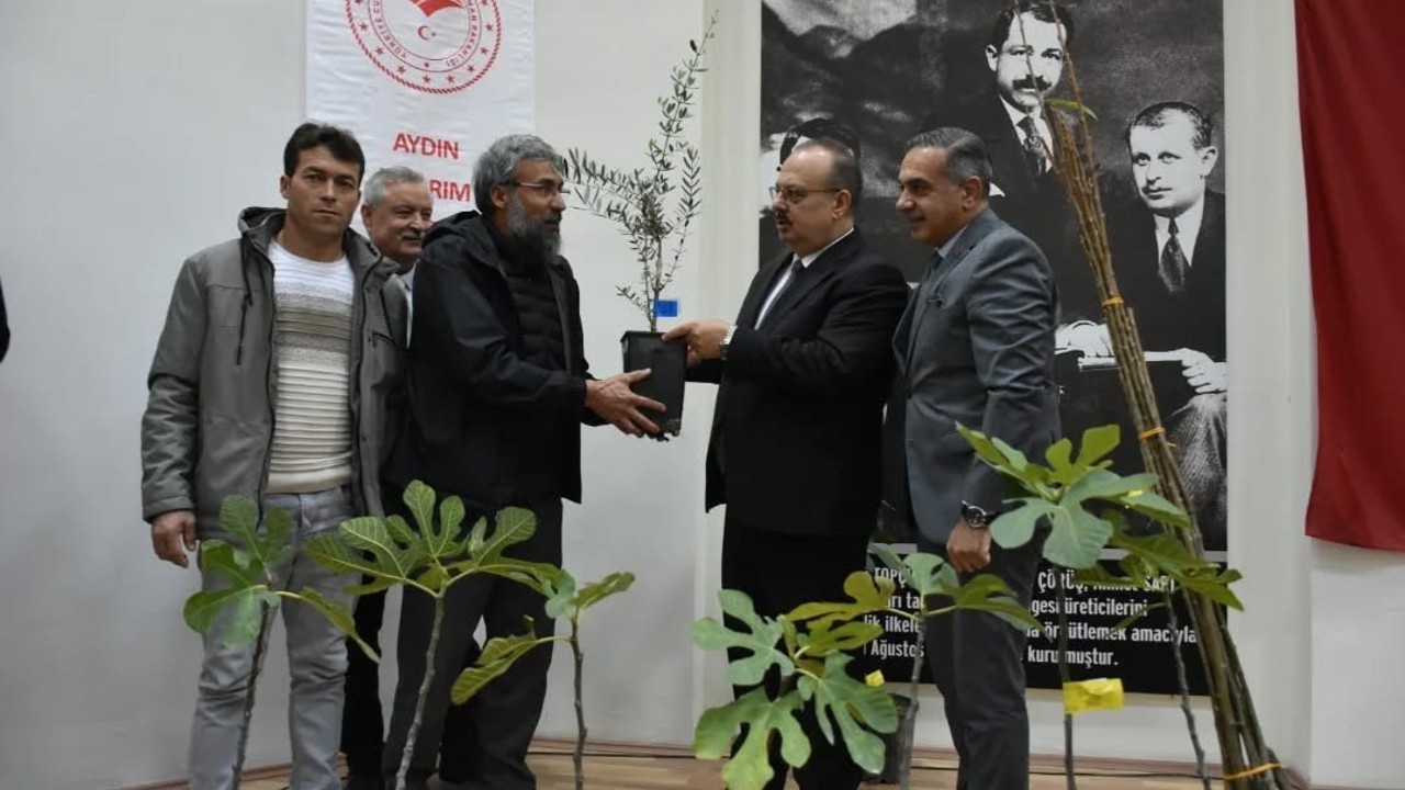 Aydın’da üreticilere 74 bin 90 fide dağıtılacak
