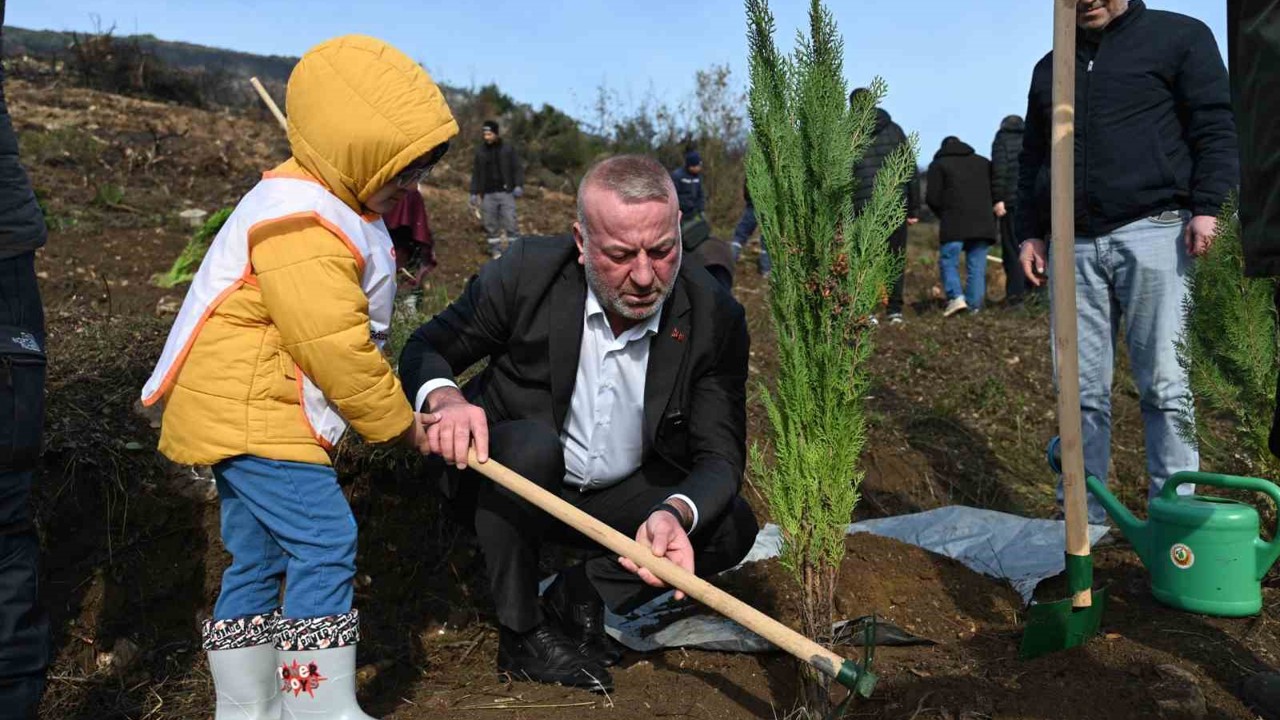 Karacabey’de yangın sonrası ilk fidanlar toprakla buluştu
