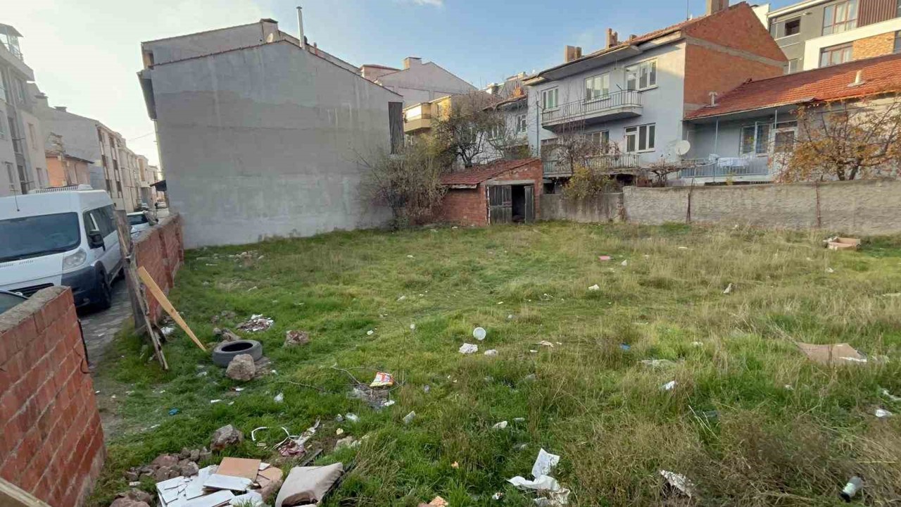 Eskişehir’de boş arsada 8 ölü kedi bulundu
