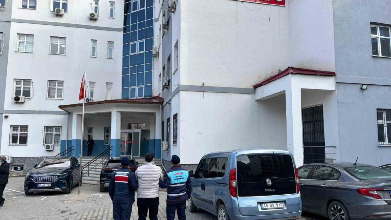 Muş’ta dolandırıcılık suçundan aranan hükümlü yakalandı
