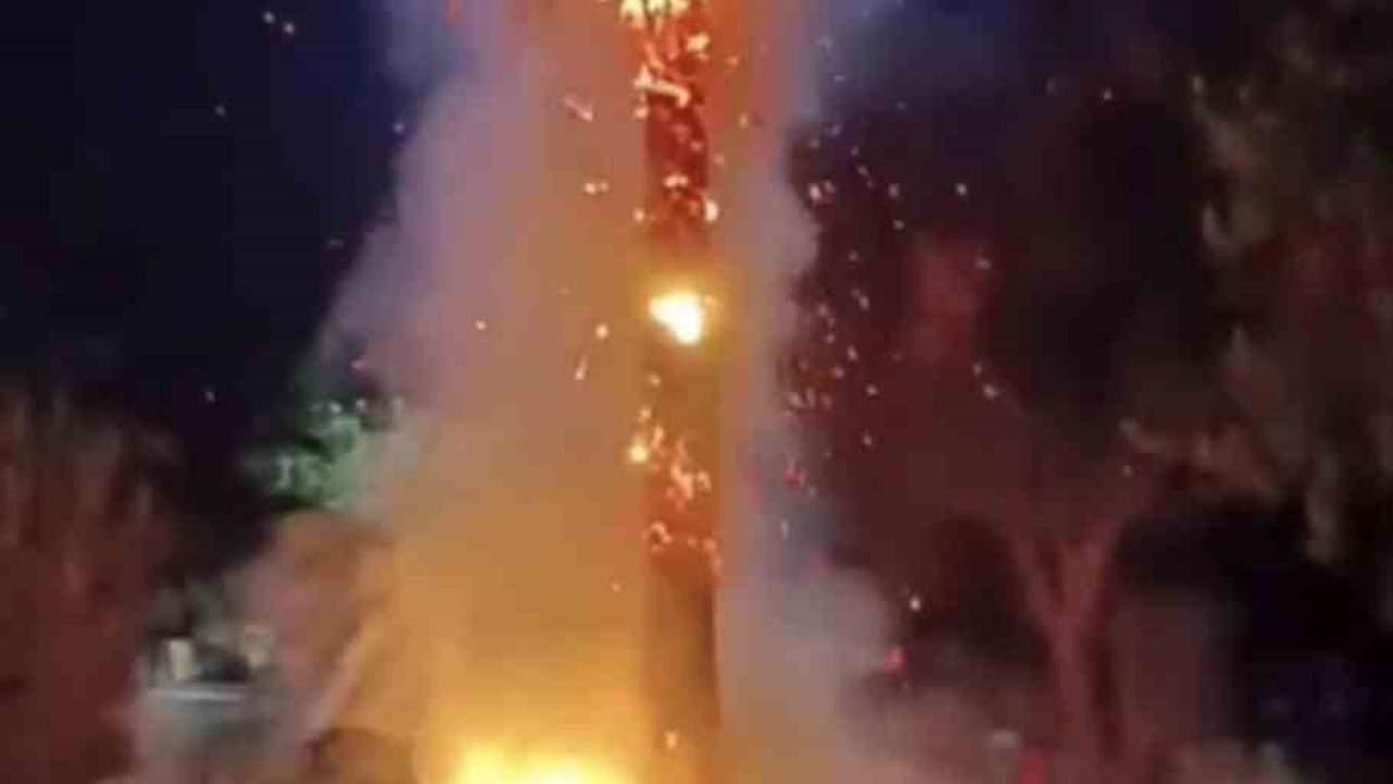 Mardin’de 15 yıllık palmiye ağacını ateşe verdiler
