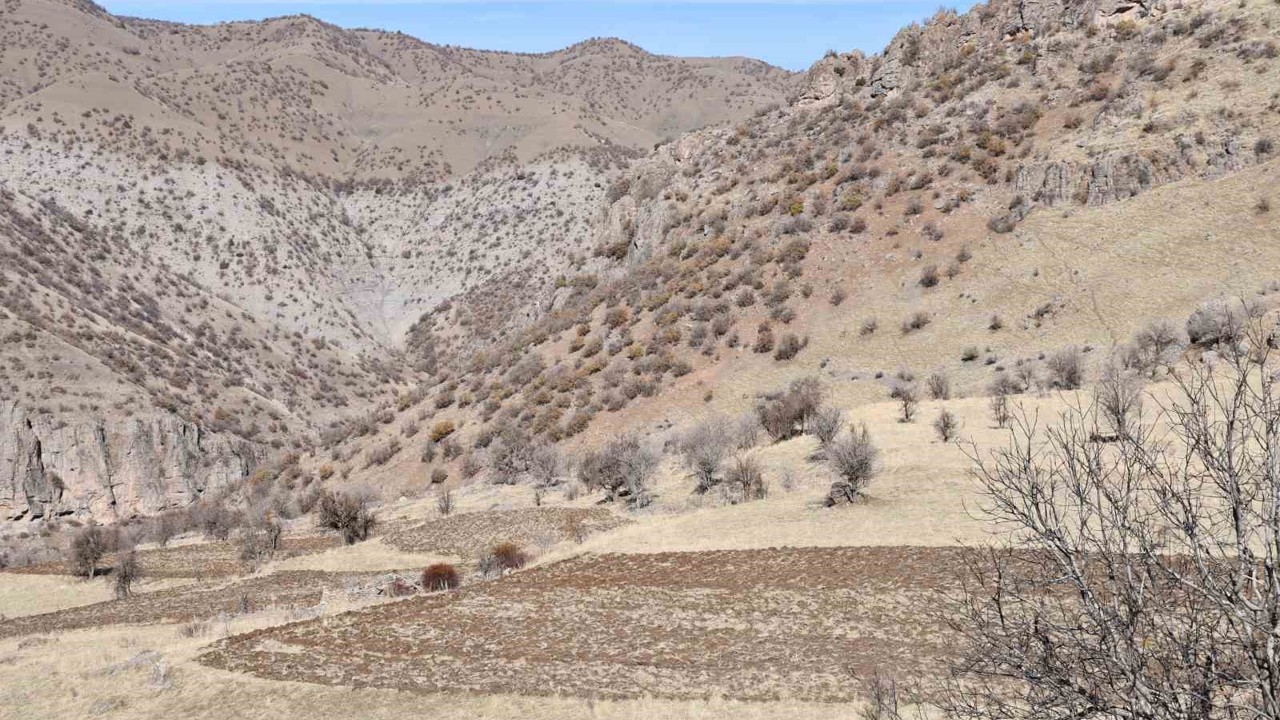 Bestler Dereler bölgesine 30 yıl sonra ilk kez yollar açılıyor
