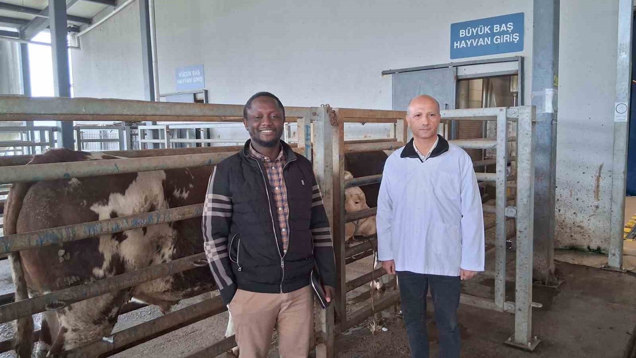 Kocaeli’deki mezbaha tesisi İslam ülkelerine örnek gösterildi
