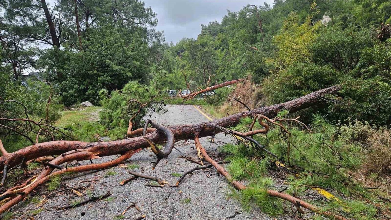 Menteşe Akbük’te şiddetli yağış ve rüzgar etkili oldu
