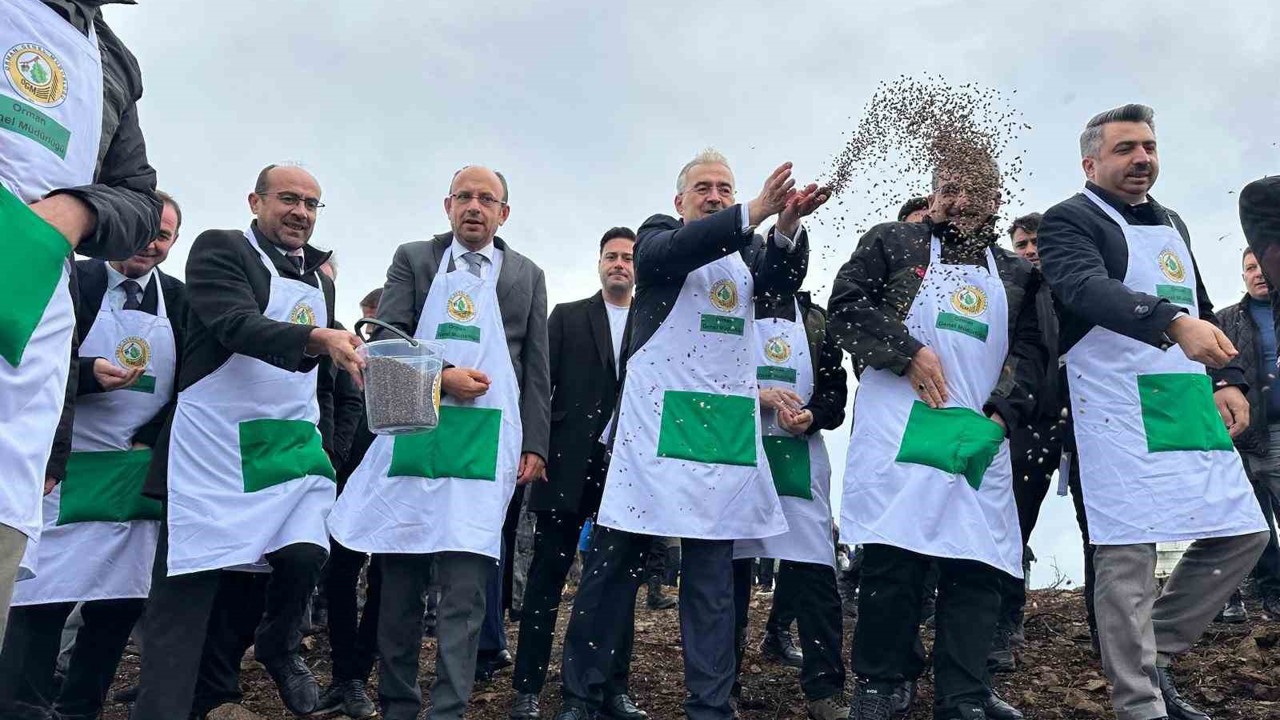 Harmancık’ta yanan 4 bin 256 hektar alan ağaçlandırılıyor
