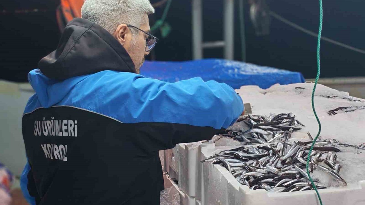 Gelibolu’da 45 kilo balığa el konuldu, 37 bin 770 lira para cezası kesildi
