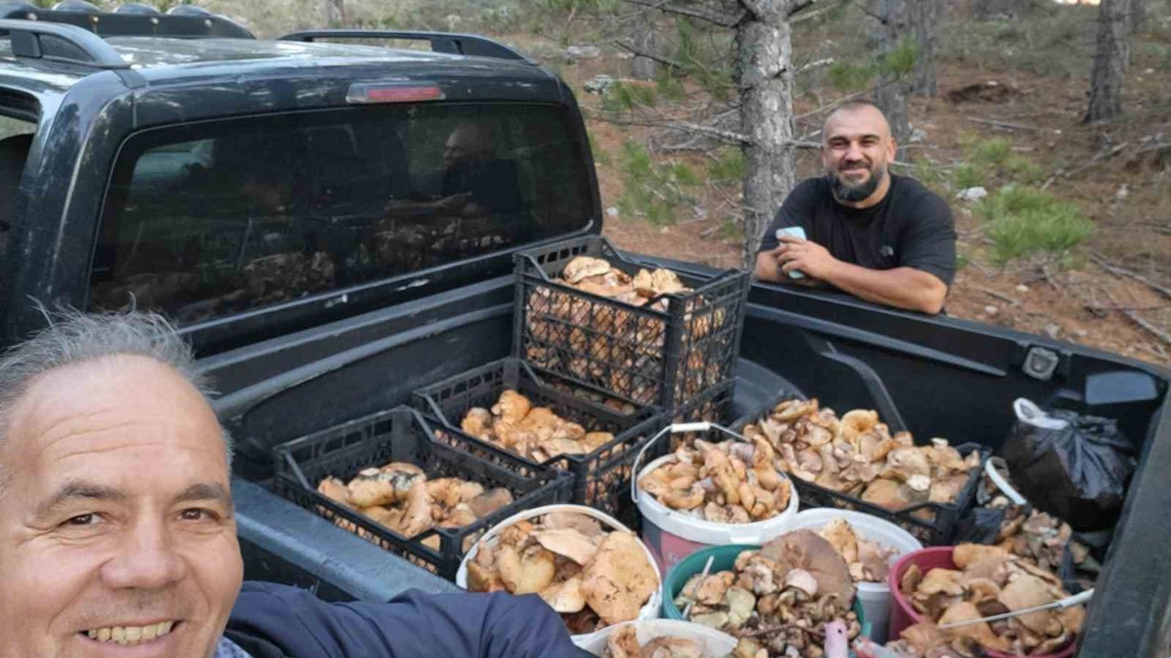Çameli’de cintar bereketi
