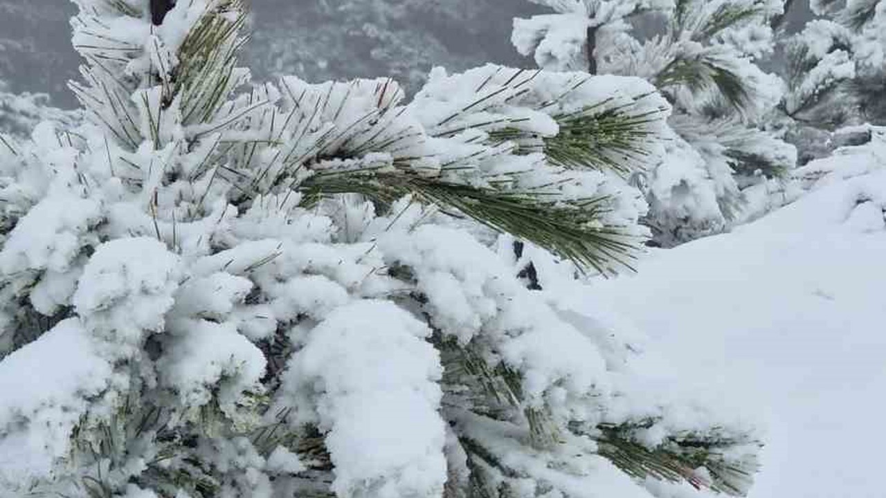Muğla’ya mevsimin ilk karı yağdı
