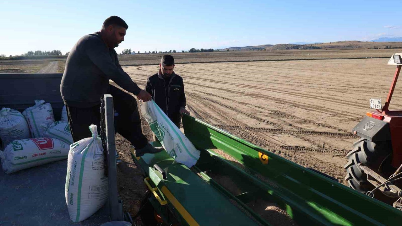 Çukurova’da buğday ekimi başladı
