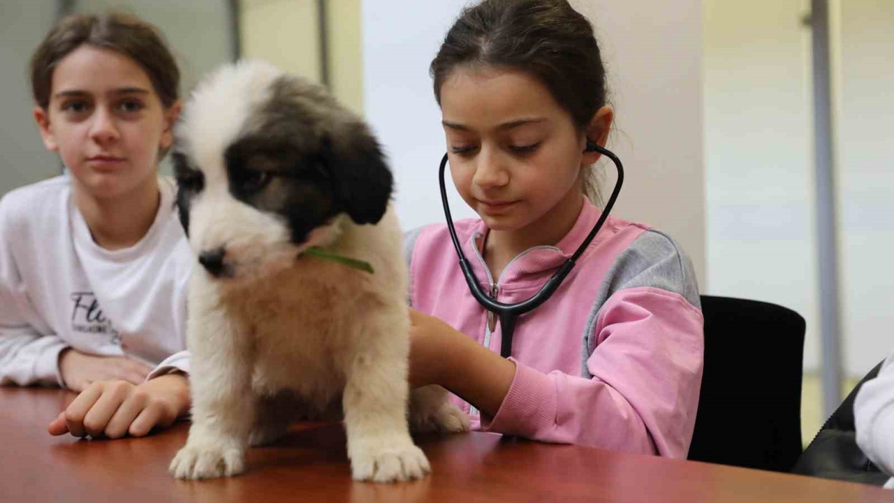 Minik veterinerler görev başında
