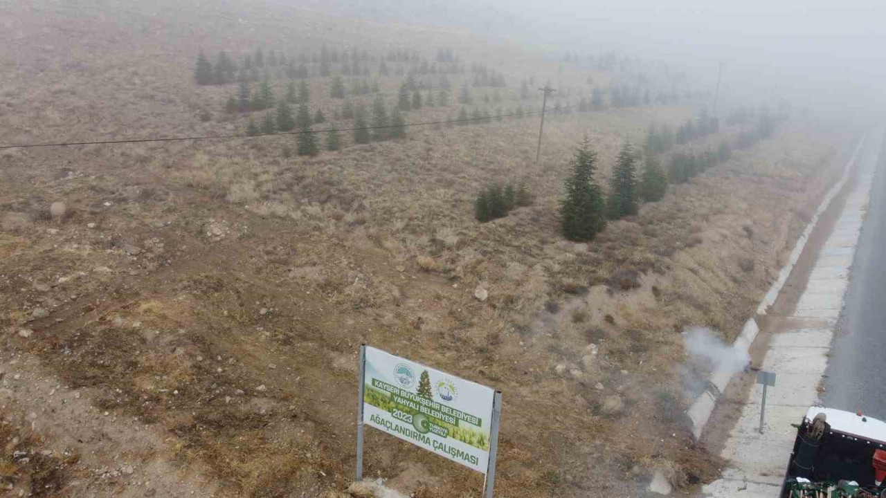 Yahyalı’ya bin 200 fidan dikildi
