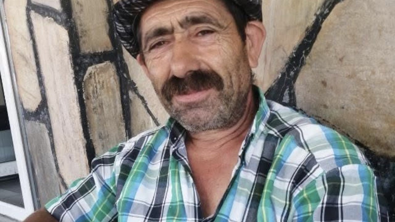 Komşusuna ağaç kesiminde yardım ederken hayatını kaybetti
