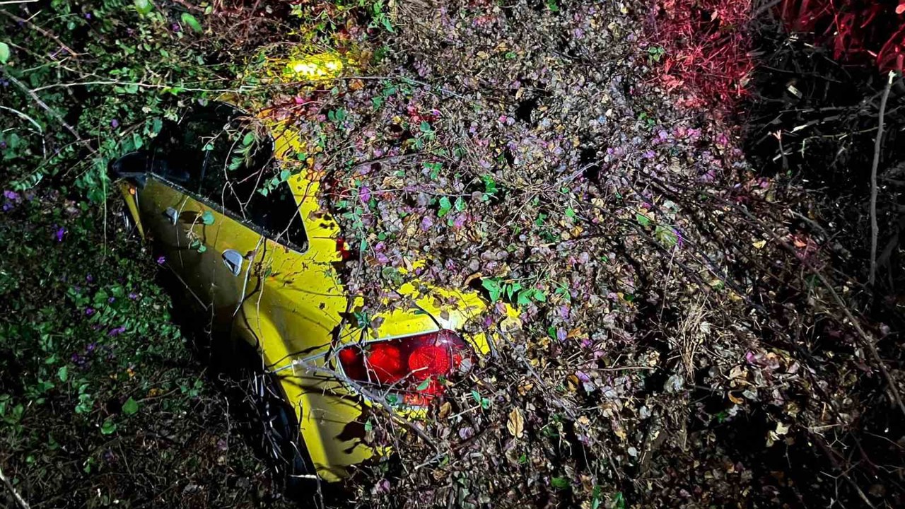 Sürücüsünün içinde olduğu otomobilin üzerine ağaç devrildi
