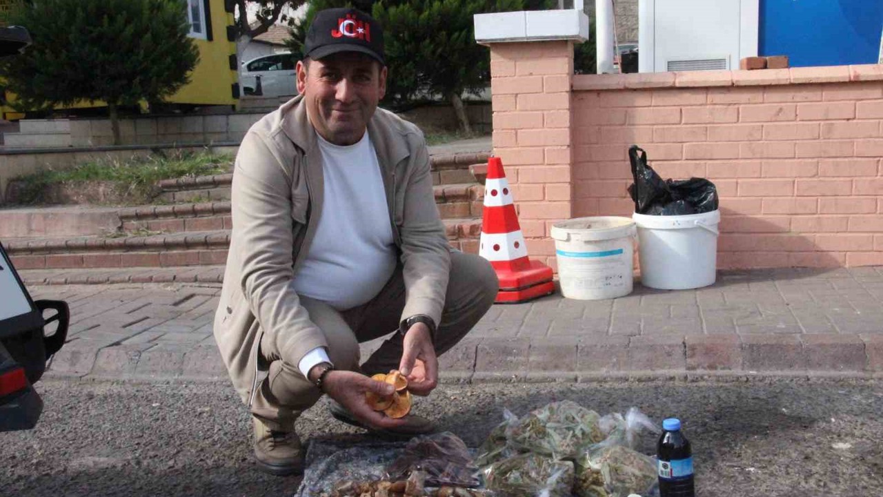 Lezzeti cezbediyor, toplaması dikkat istiyor
