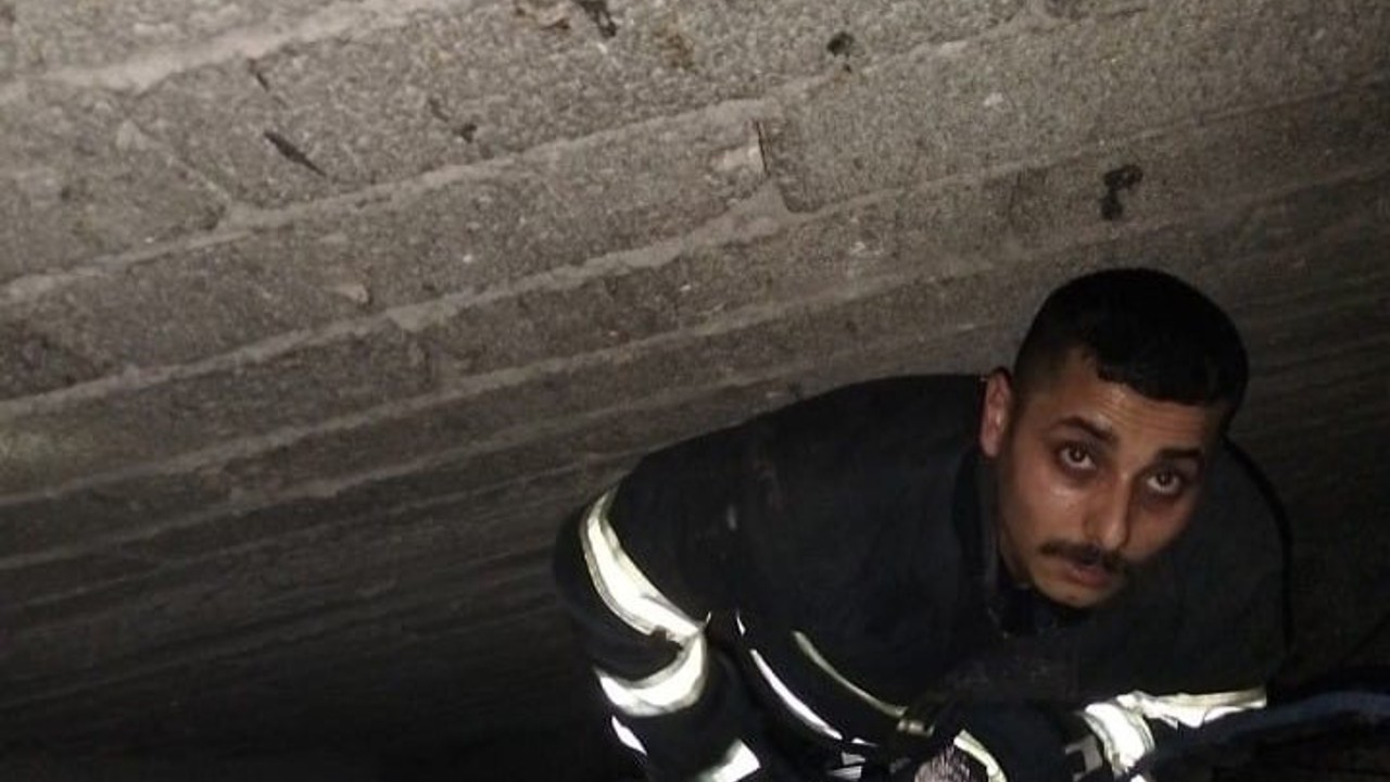 Havalandırma boşluğuna düşen yavru kediyi itfaiye kurtardı
