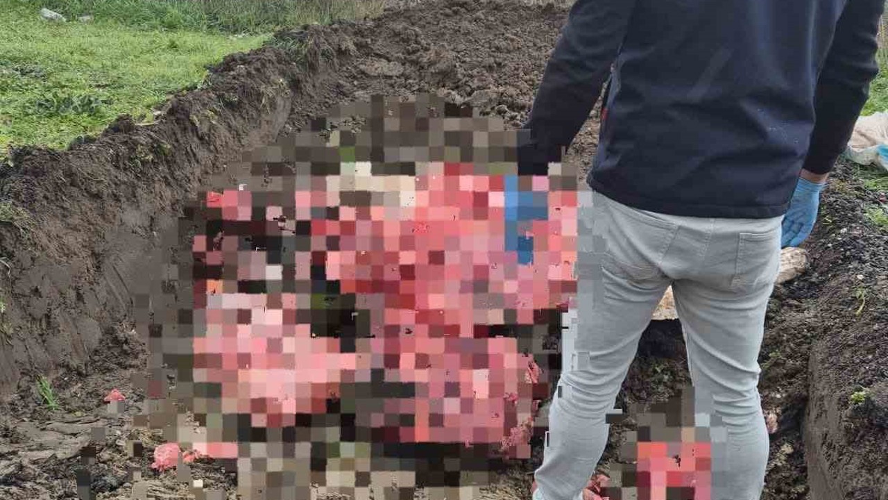 Tekirdağ’da 1 ton menşei belirsiz hayvansal ürün imha edildi
