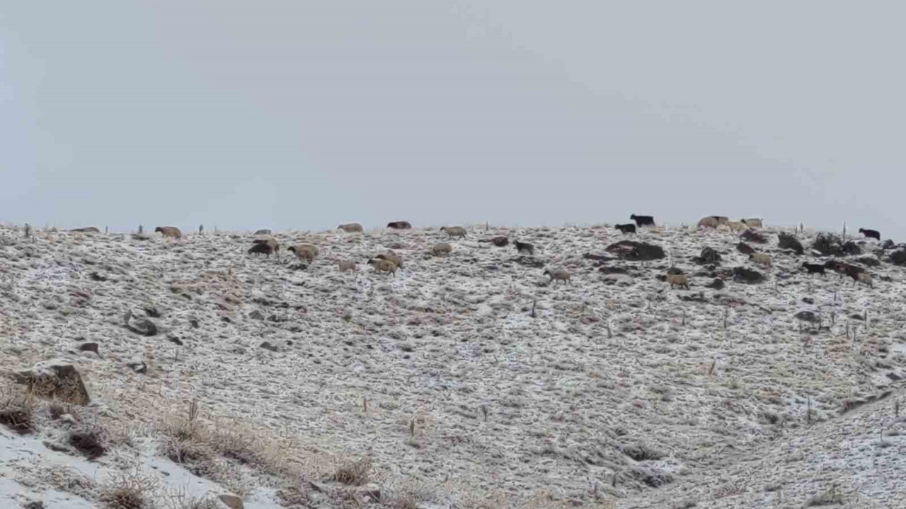 Van’da kış yüzünü gösterdi: Erek Dağı ve çevresi beyaza büründü
