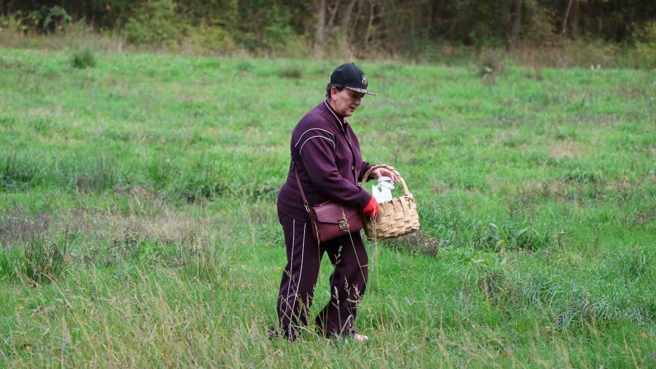 Doğaseverler Ormanya’nın zengin biyolojik çeşitliliğini keşfetti
