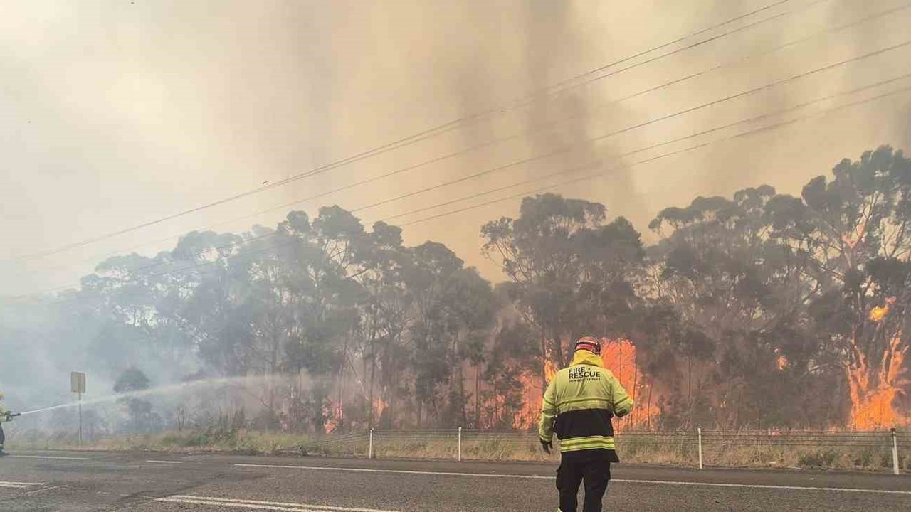 Avustralya’da devam eden orman yangınlarında itfaiye görevlisi öldü
