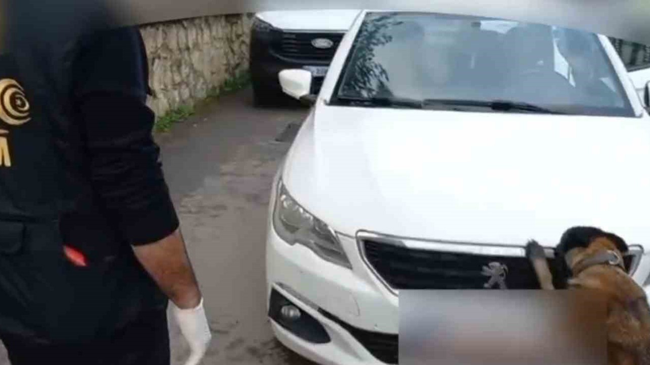 92 kilo bonzai hammaddesi taşıyan 2 şüpheli gözaltına alındı
