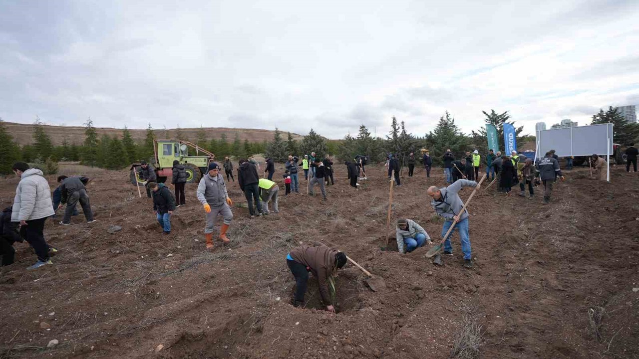 TUSAŞ şehitleri anısına binlerce fidan toprakla buluştu
