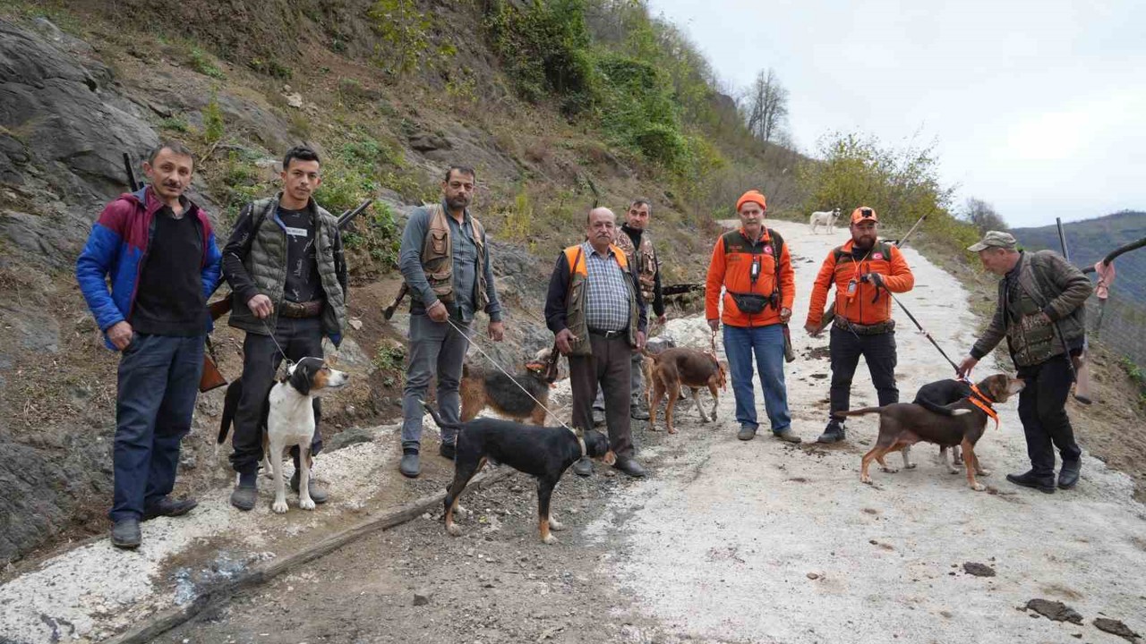 Samsun’da domuz alarmı: Avcılığa "takoz" engeli
