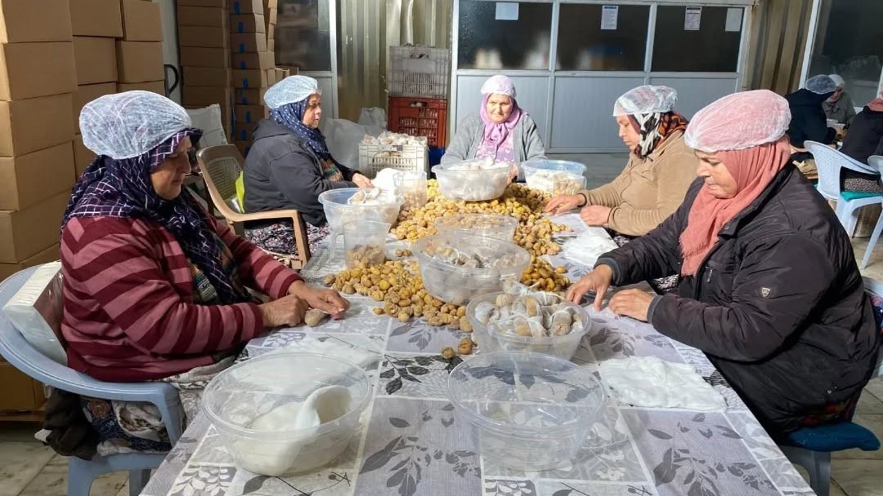 Türkiye’nin yüzde 33’ünü karşılayan Aydın Kestanesi, ihracata hazırlanıyor
