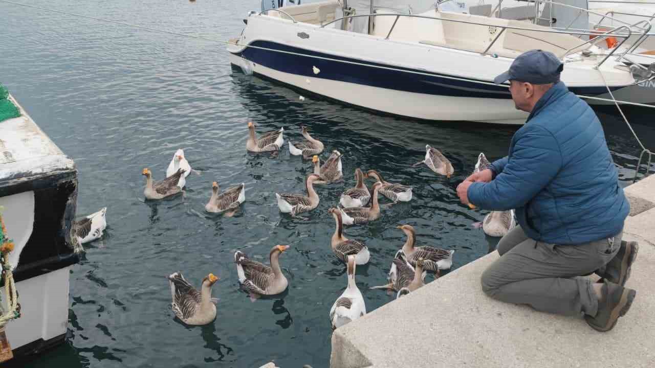 Şarköy’ün maskotu ’Vakvaklar’
